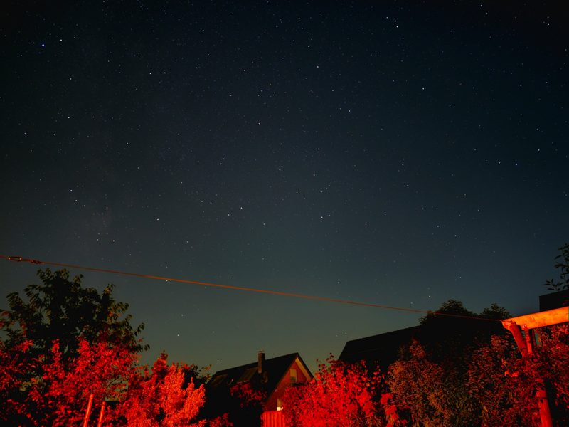 Sternenhimmel über rot angeleuchteten Bäumen